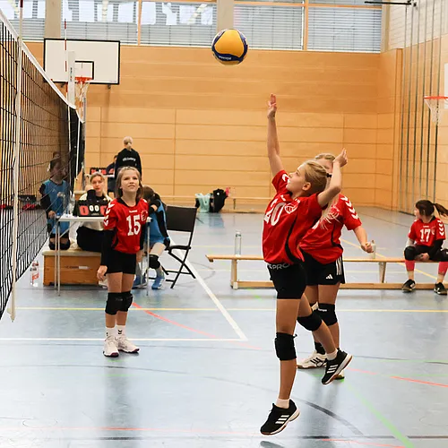 U12 Ofr.