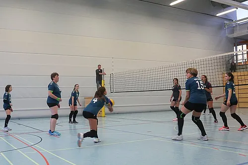 VG3 bei den Vipers