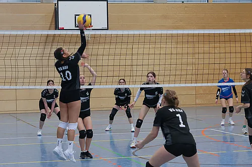 VG4 VG5 ATSV