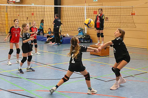U12 NB