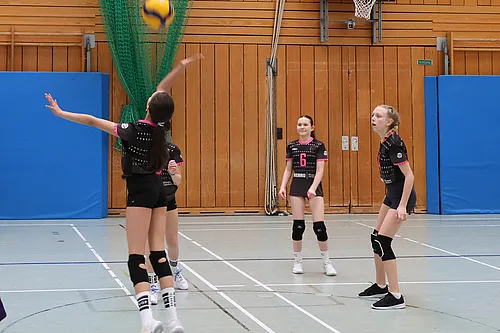 U15 Cup