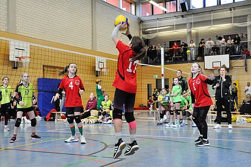 U12 NB