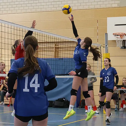 U16 OM