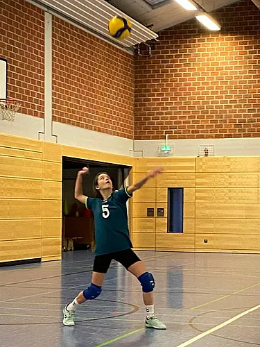 VG3