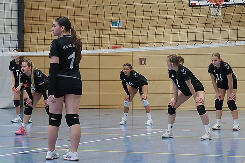 VG4 VG5 ATSV