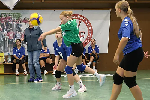 VG4