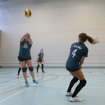 VG3 bei den Vipers