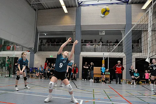 U12 BM