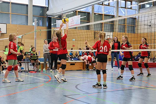 U12 NB