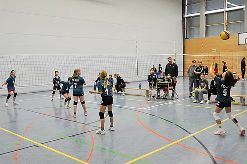 U12 OM