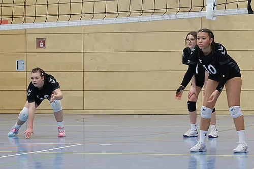 VG4 VG5 ATSV