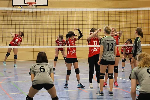U16 Ofr.