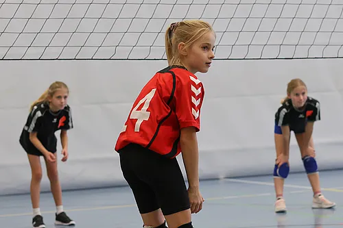 U12
