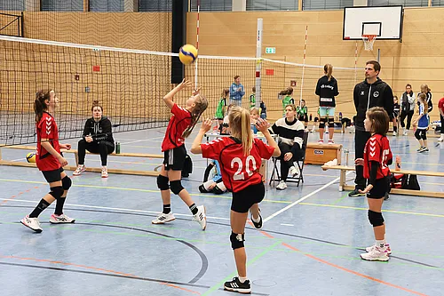 U12 Ofr.