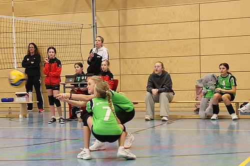 U12 OM