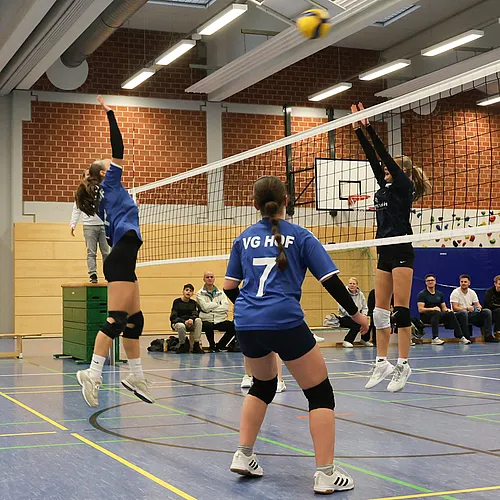 VG5