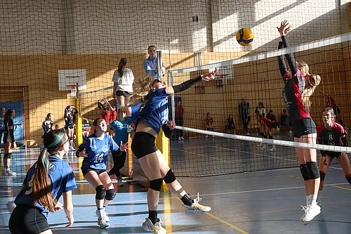 U16 OM