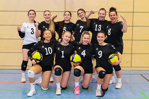 VG4 VG5 ATSV