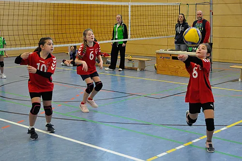 U12