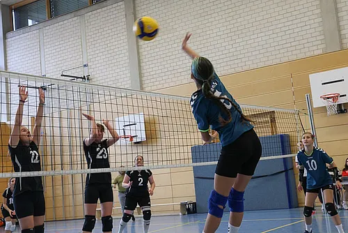 VG3