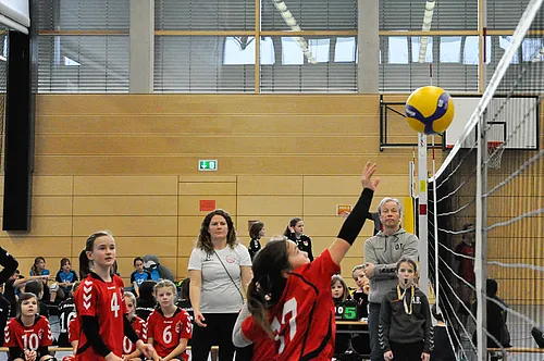 U12 NB