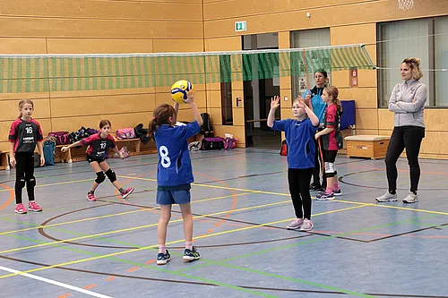 U11