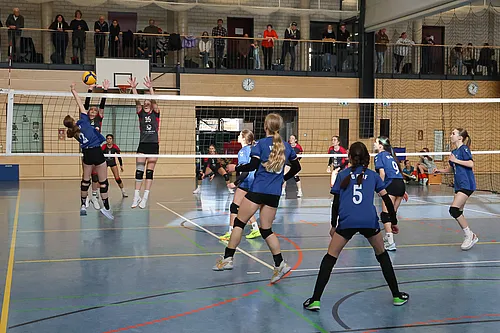 U16 OM