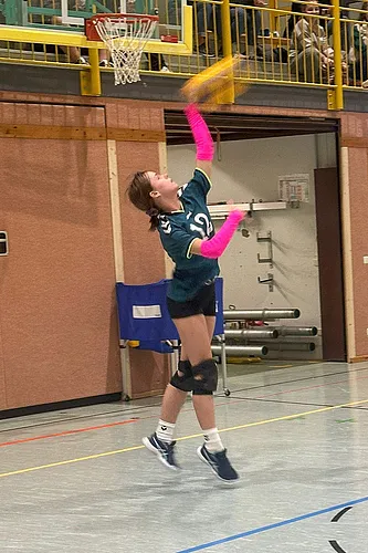 VG3