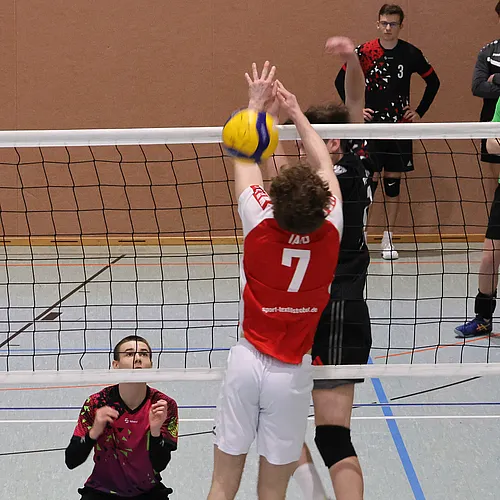 VG4 VG5 ATSV