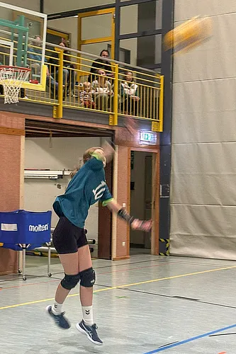 VG3