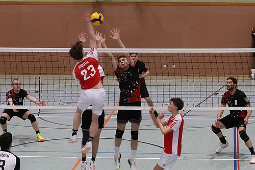 VG4 VG5 ATSV
