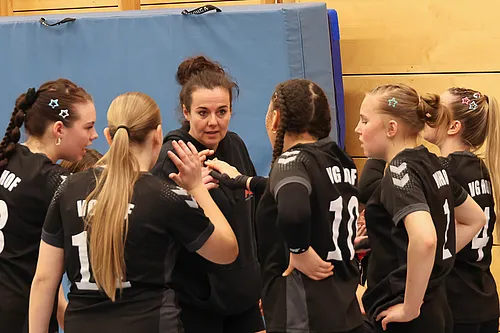 VG4 VG5 ATSV