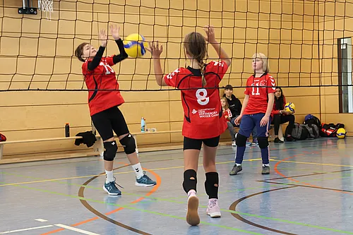 U12