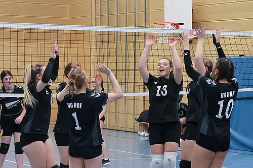 VG4 VG5 ATSV
