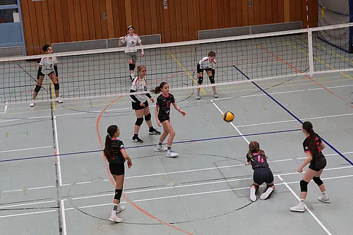 U15 Cup