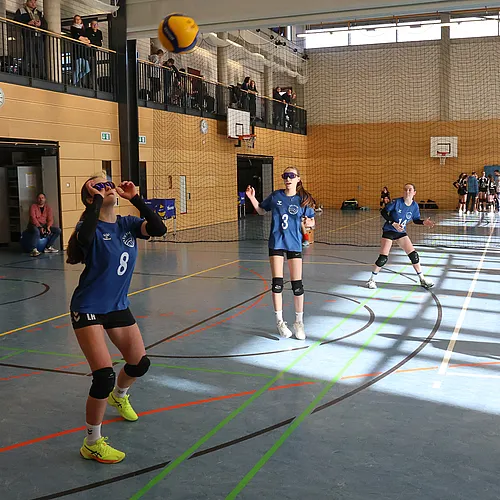 U16 OM