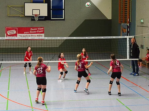WEGRA Cup