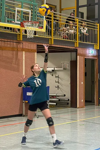 VG3