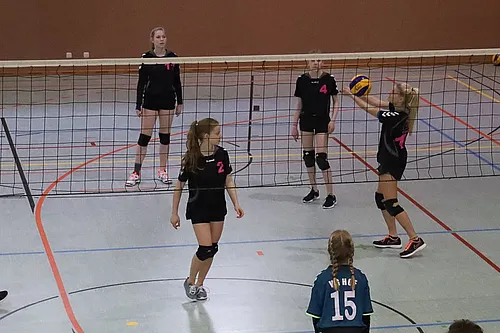 VG3