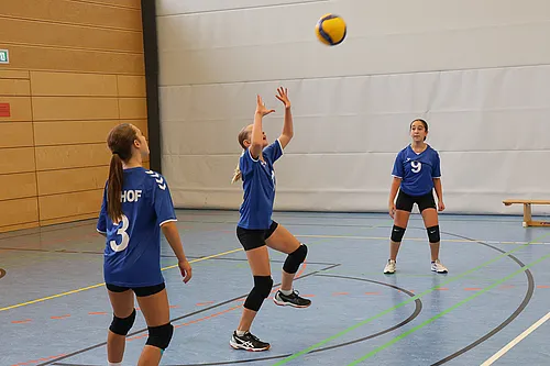 VG4