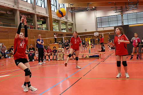 U13 NB