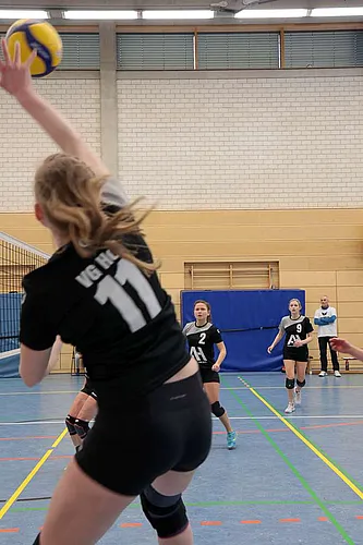 VG1 VG3